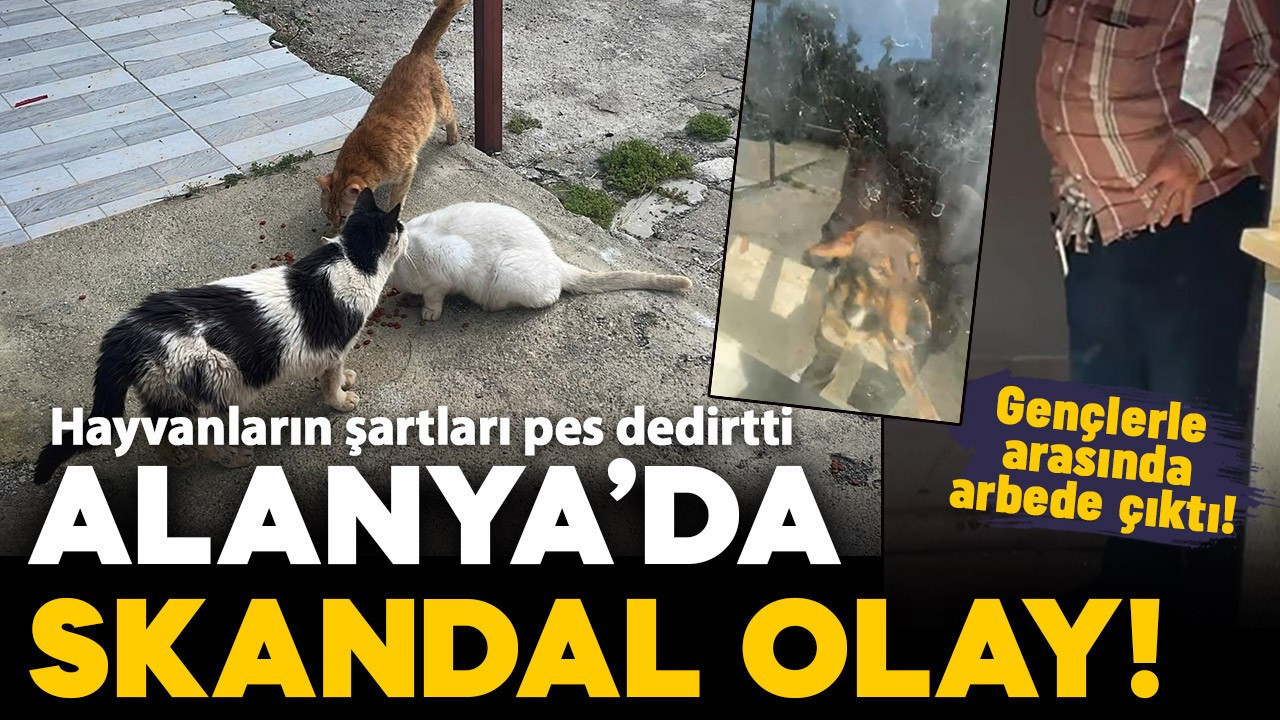 Kötü şartlarda evde tutulan hayvanlar, gençlerin tepkisi sonrası kurtarıldı