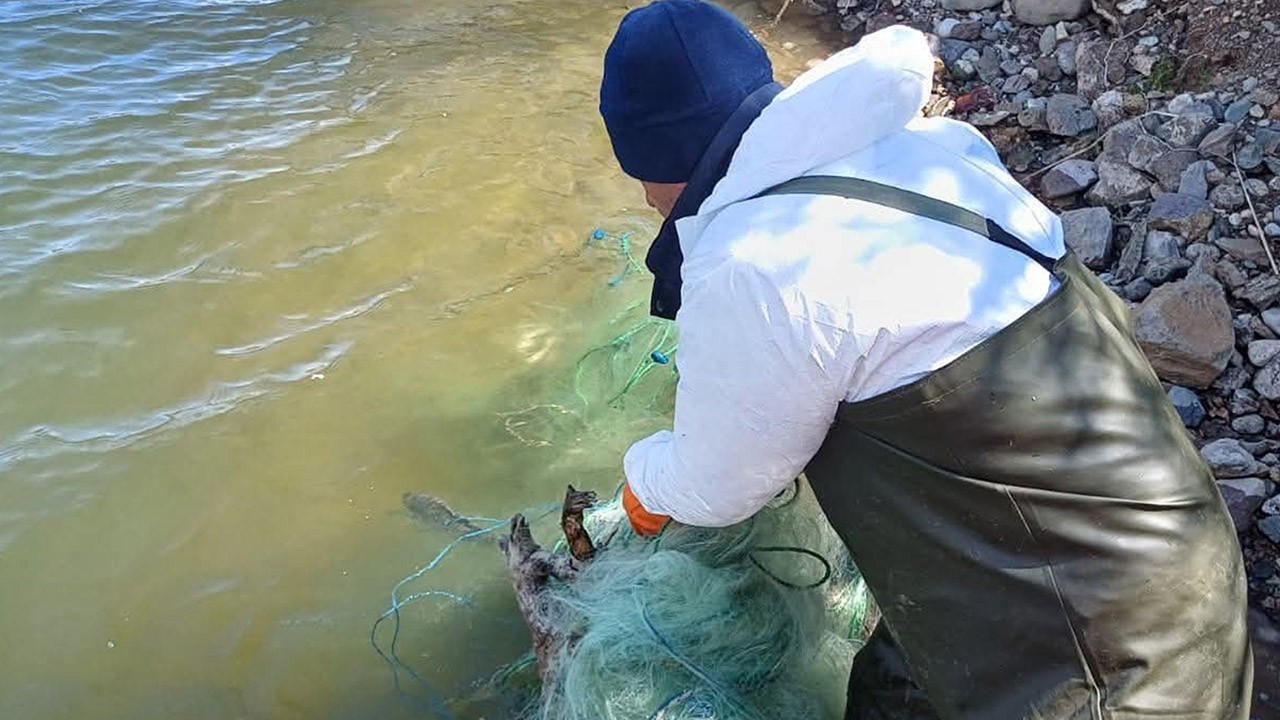 Baraj gölünde yasa dışı av araçları ele geçirildi