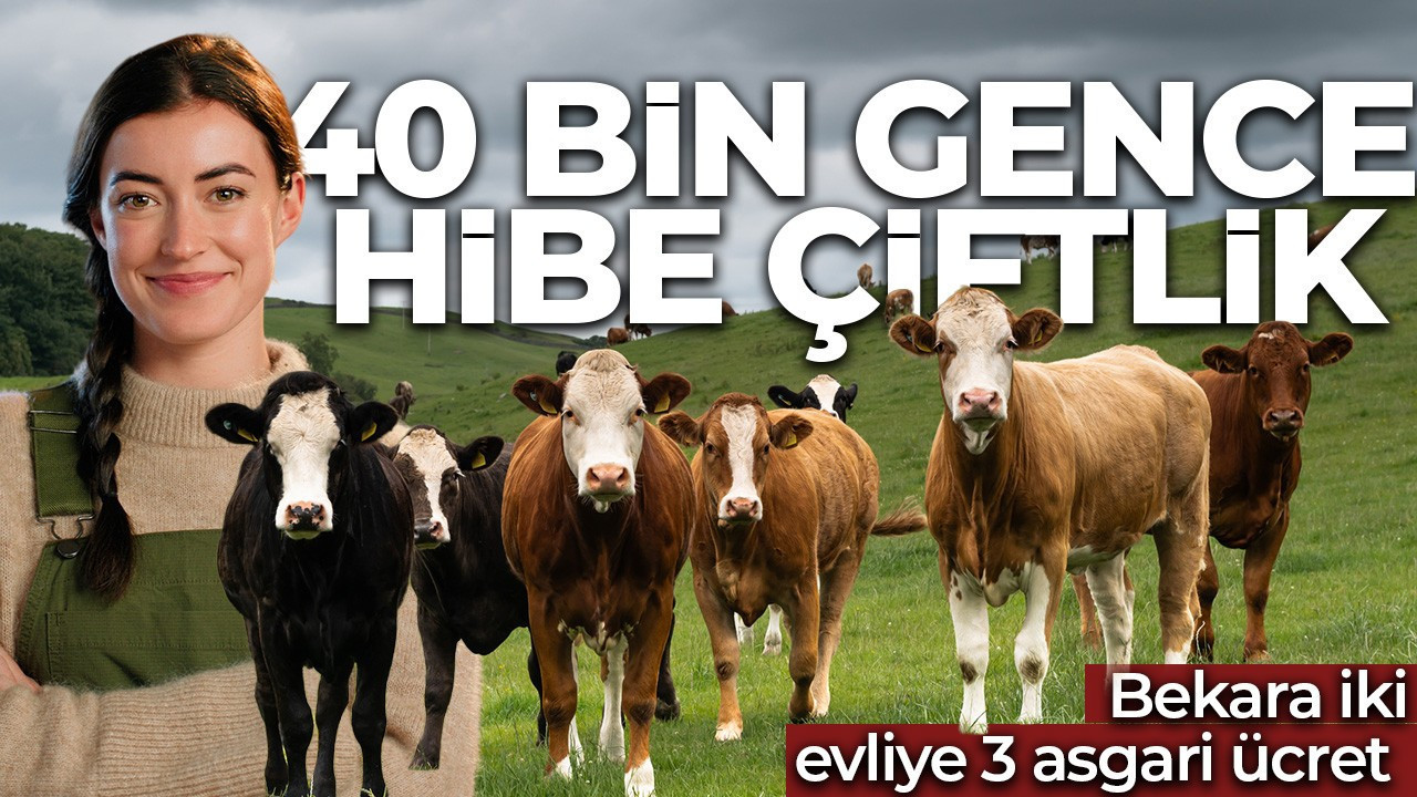 Tarımda ezber bozan model! Maaşlı çiftçilik dönemi geliyor: 40 bin gence 40 bin teknolojik çiftlik