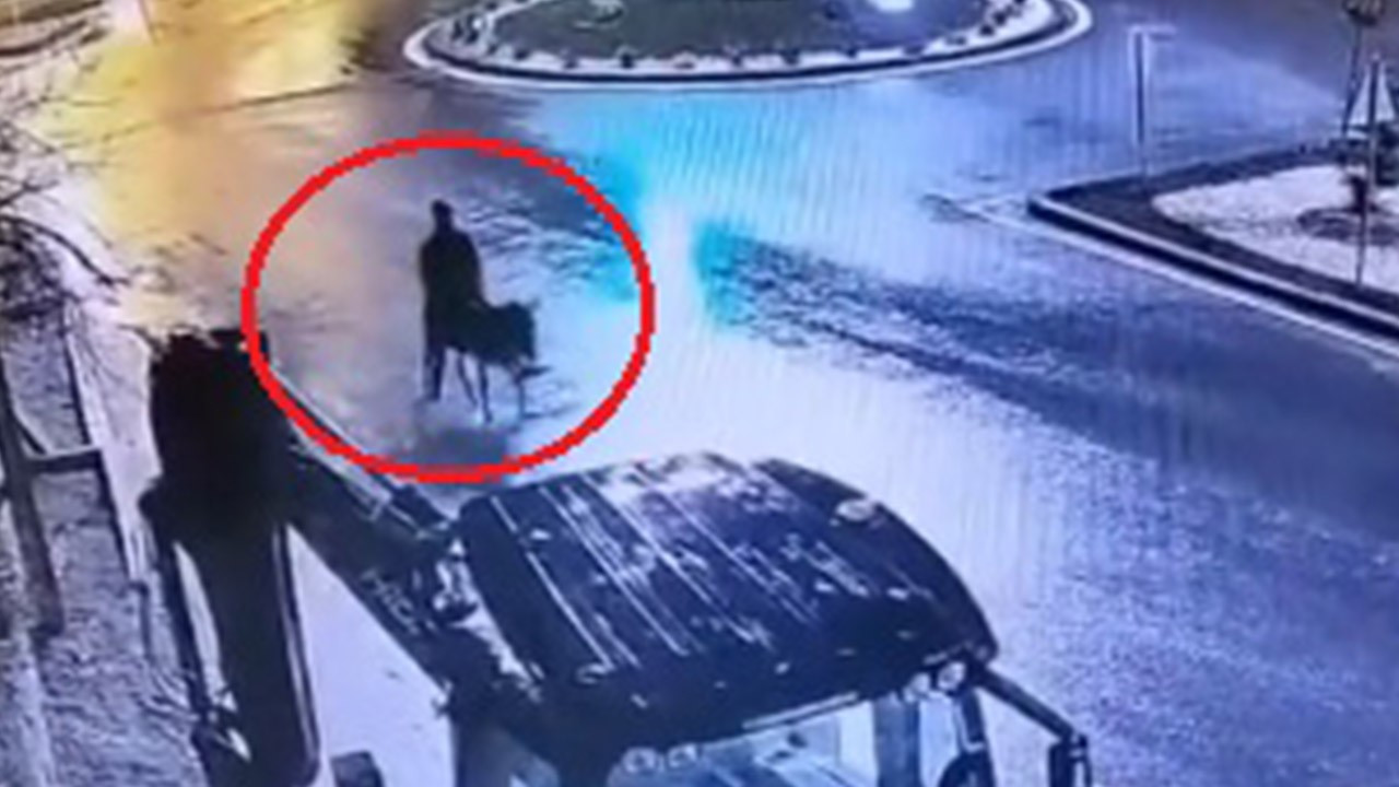 Kuyumcudan altın çalıp eşekle kaçmıştı! İlginç davada yeni gelişme