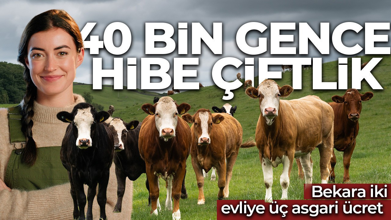 Tarımda ezber bozan model! Maaşlı çiftçilik dönemi geliyor: 40 bin gence 40 bin teknolojik çiftlik