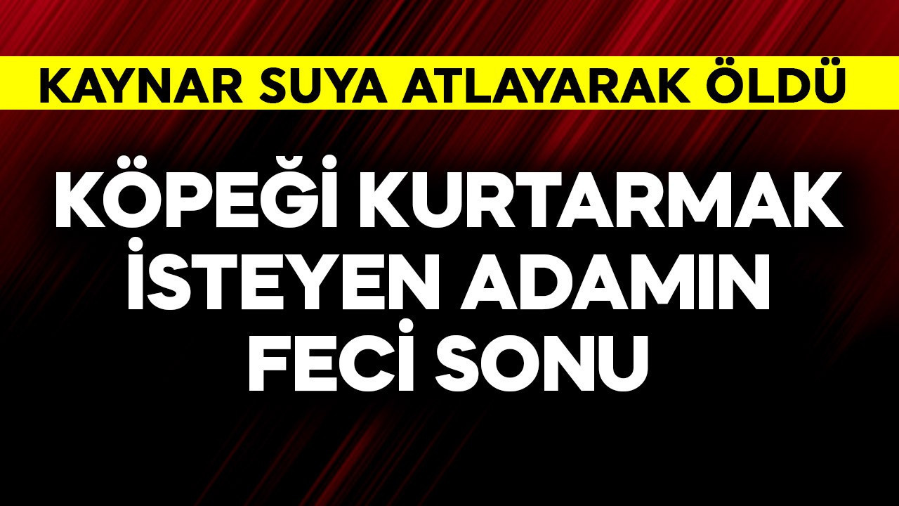 Köpeği kurtarmak isteyen adamın feci sonu! Kaynar suya atladı