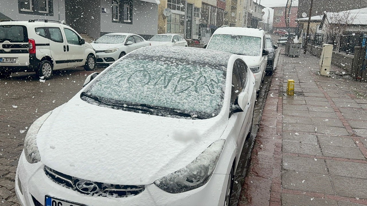 Karlıova'da nisan karı etkili oldu