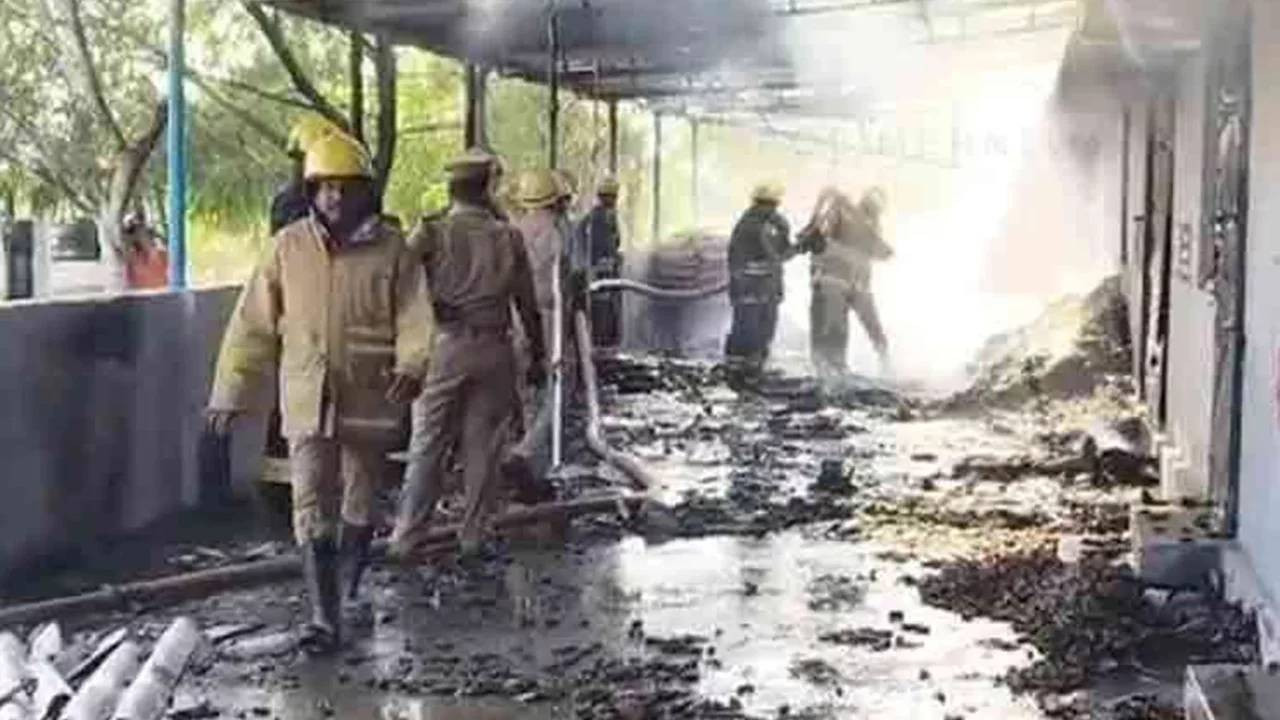 Hindistan'da havai fişek fabrikasında patlama: 23 kişi hayatını kaybetti