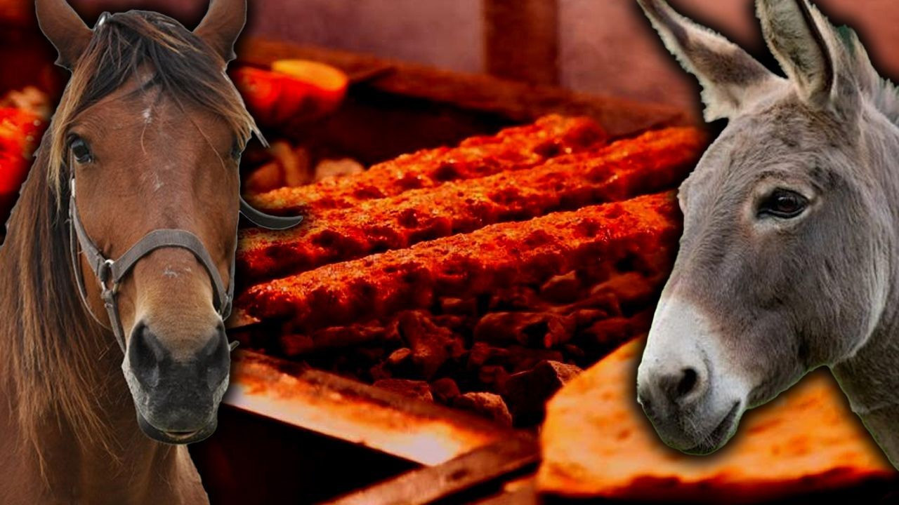 Bakanlık tek tek ifşa etti! Aynı şehir aynı skandal! Yine at eşek eti yedirmişler