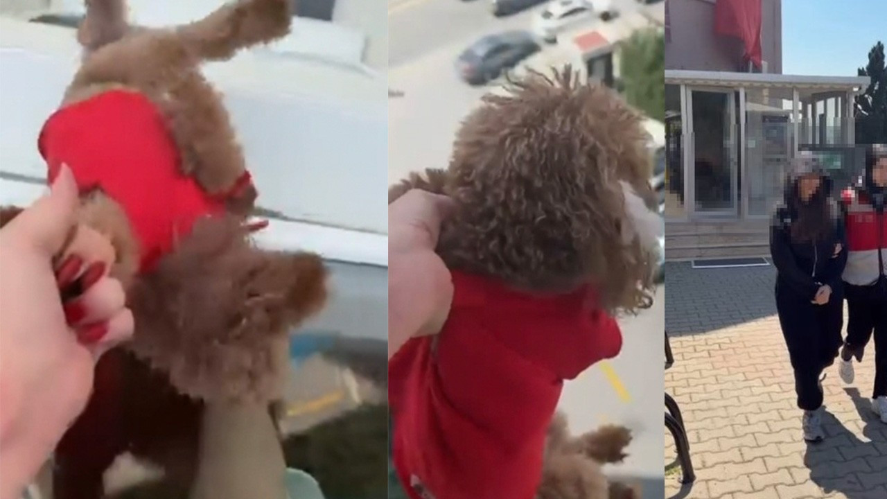 Başakşehir'de vicdanları sızlatan görüntü! Köpeği pencereden sarkıttı, yetmedi cama vurdu: Hadi gel kurtarsana