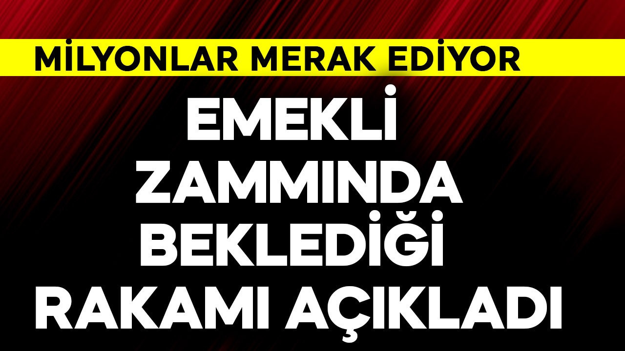 Emekli zammında beklediği rakamı açıkladı