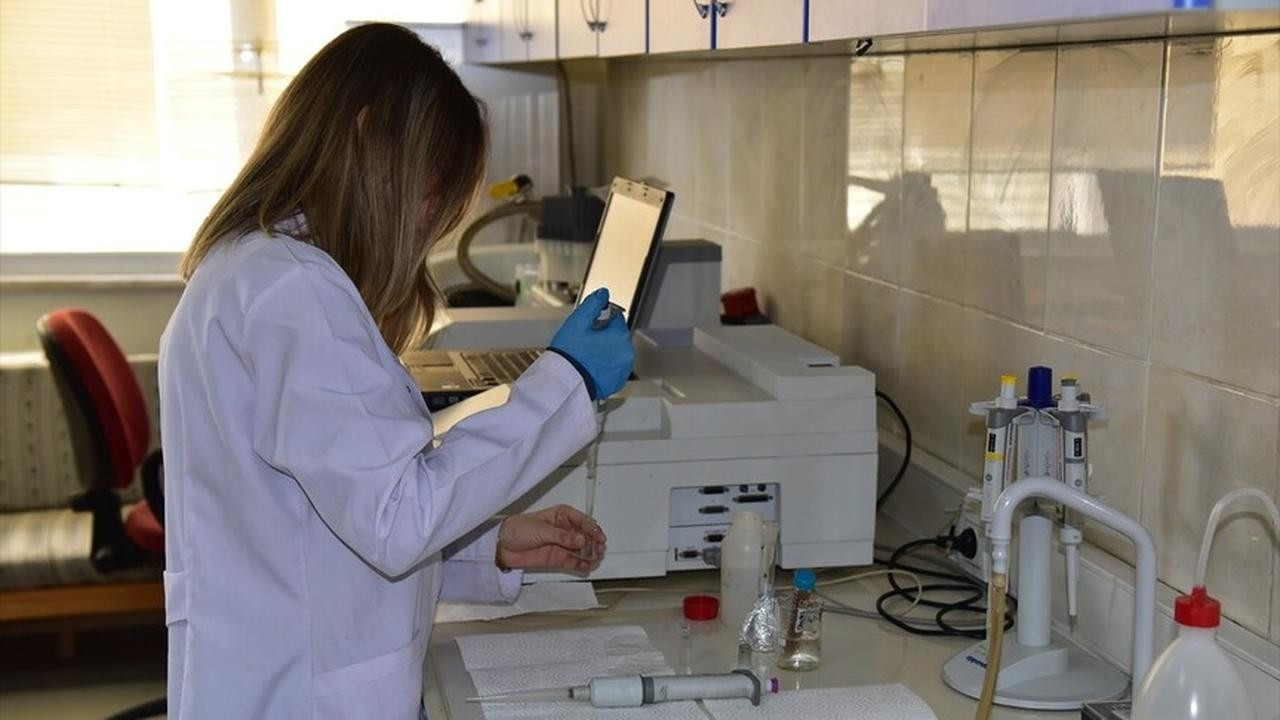 Balıkesir Üniversitesi'nde bilimsel üretimde büyük performans: 133'ten 1000'e!