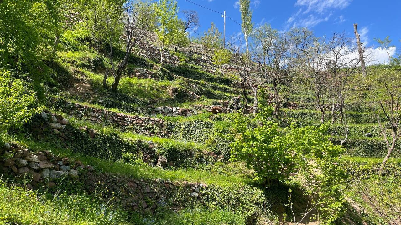 62 yıllık destan: 2 dönüm arsayı 8 dönüme çıkardı! Yamacı taş taş işleyerek mirasa dönüştürdüler