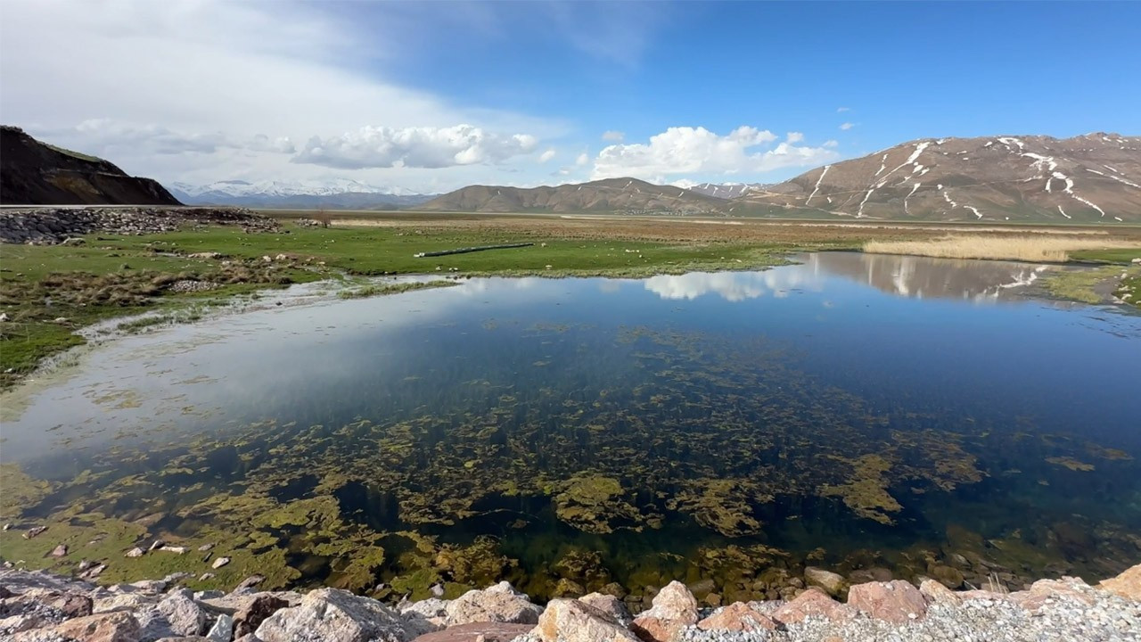 Brezilya değil Türkiye! 'Yılan Adası' değil, 'Yılan Pınarı': Görenler hayret etti!