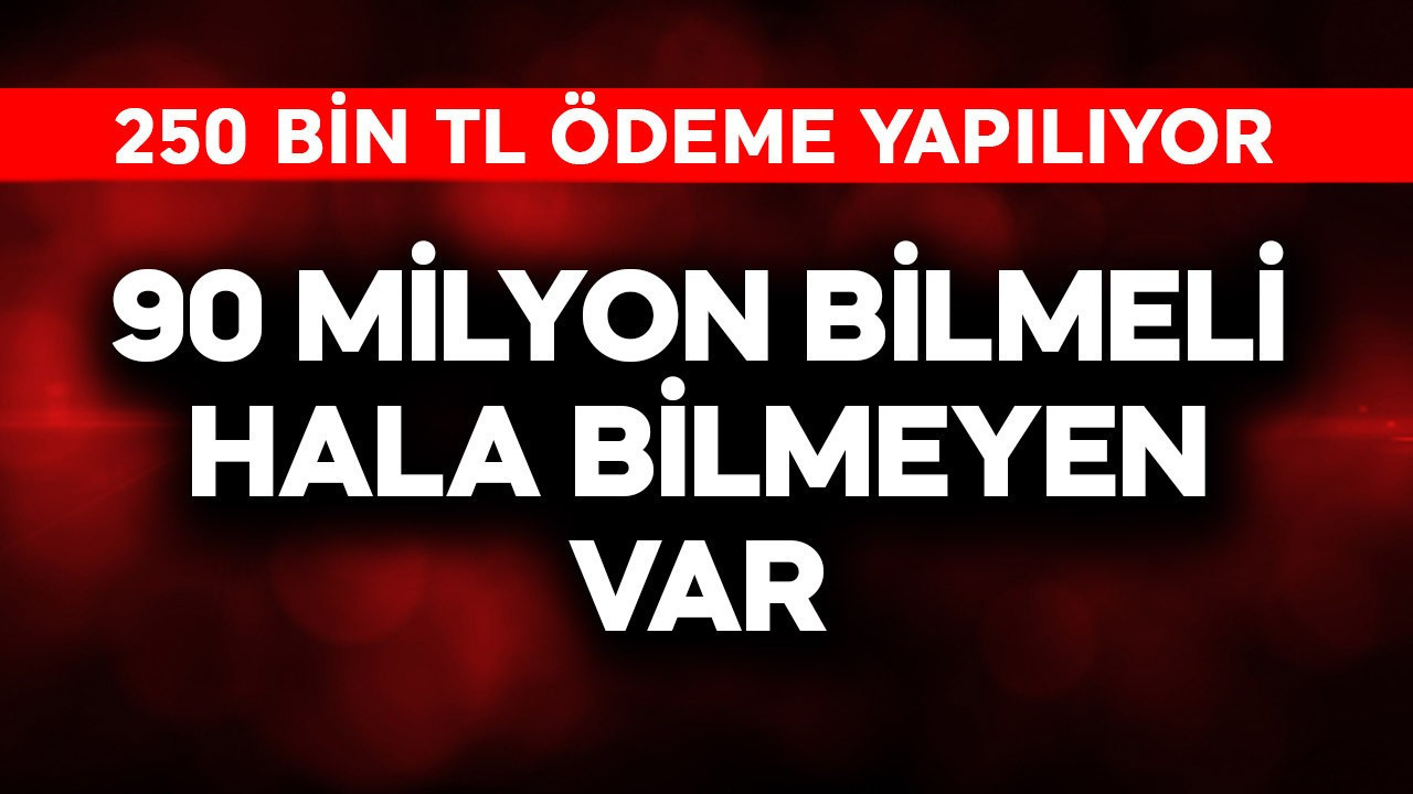 90 milyon bilmeli hala bilmeyen var! 250 bin TL ödeme yapılıyor