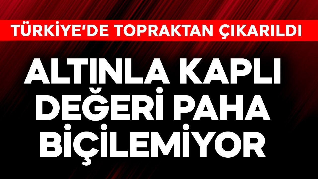 Altınla kaplı, değeri paha biçilemiyor! Türkiye'de topraktan çıkarıldı