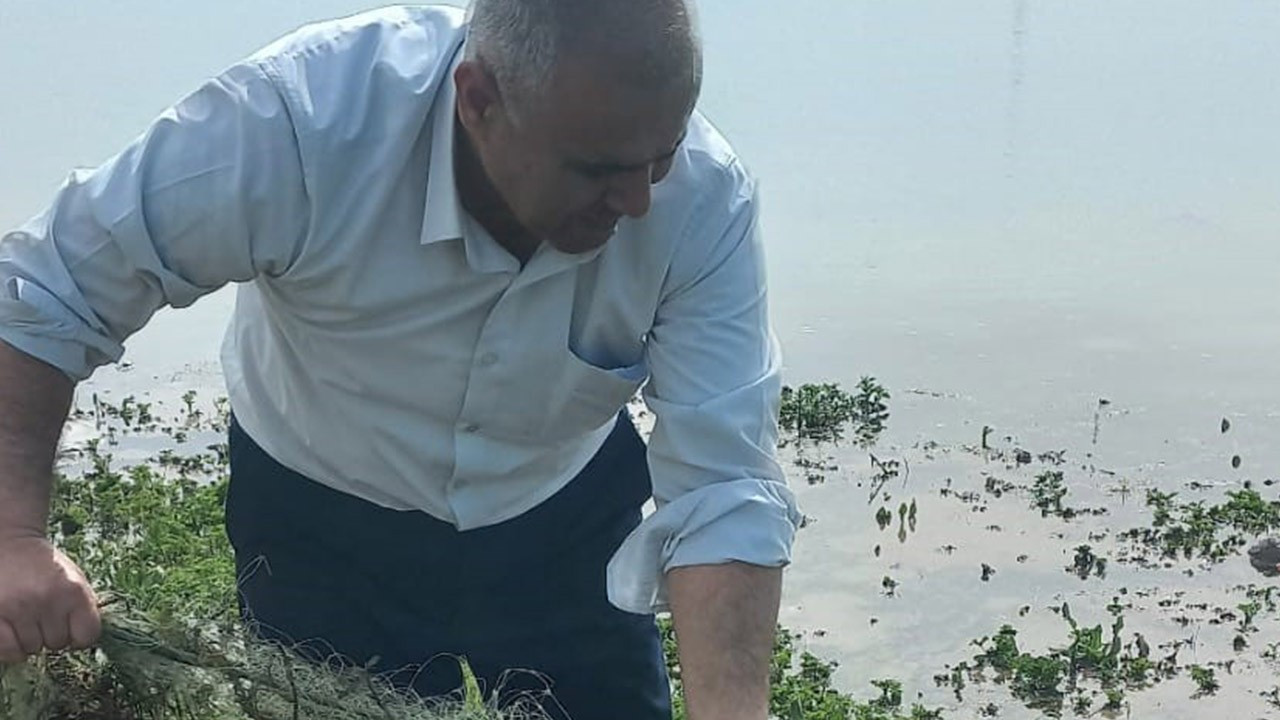 Şanlıurfa'da 51 tanesi doğaya geri bırakıldı
