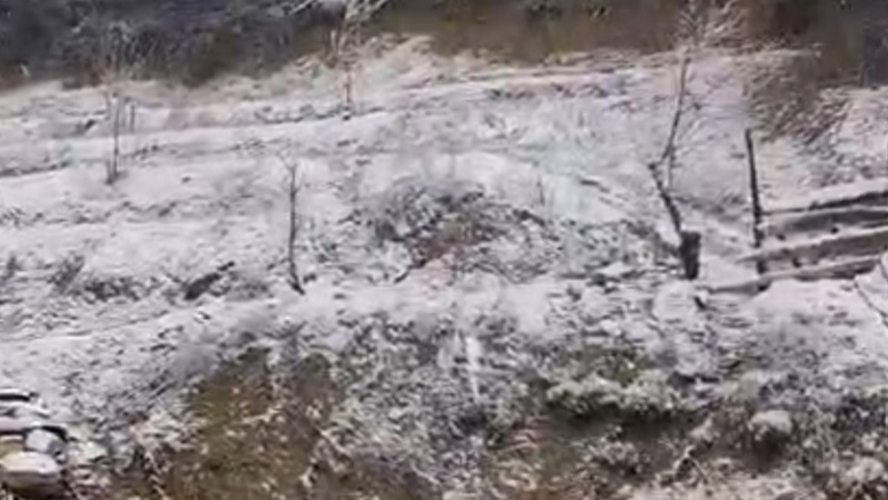 Adana'da bahar ayında hem şaşırtan hem de korkutan manzara