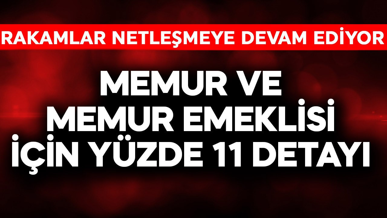 Memur ve memur emeklisi için yüzde 11 detayı