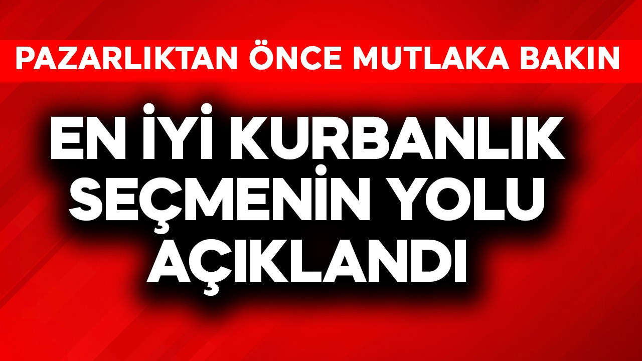 En iyi kurbanlık seçmenin yolu açıklandı! Pazarlıktan önce mutlaka bakın