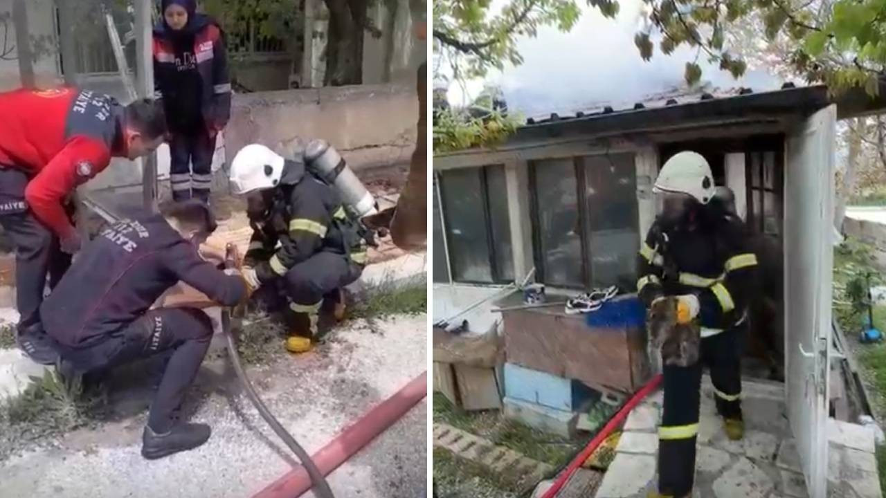 Yangında evde mahsur kalan yavru kedi kurtarıldı
