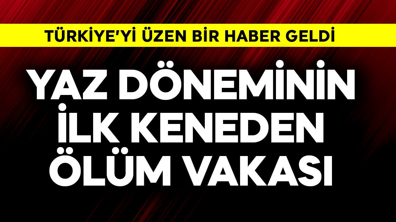 Türkiye'yi üzen haber! Yaz döneminin ilk keneden ölüm vakası geldi