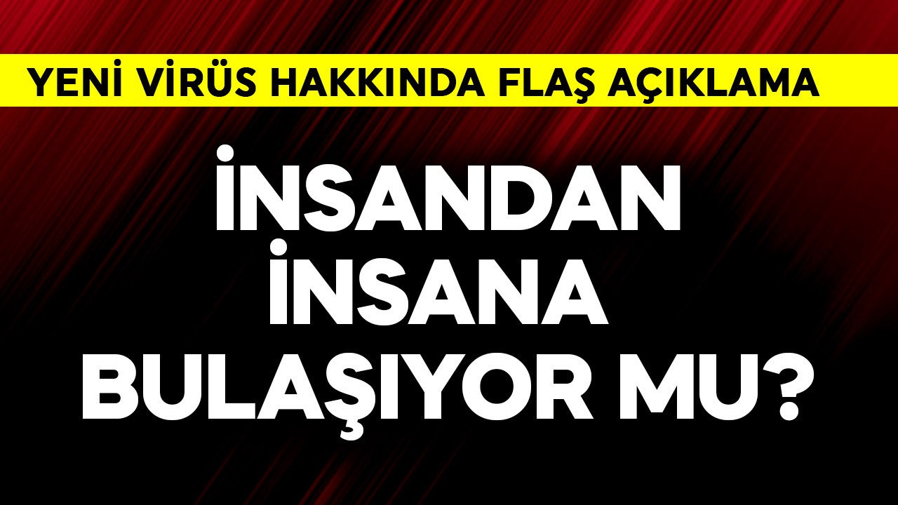 İnsandan insana bulaşıyor mu? Yeni virüs hakkında flaş açıklama