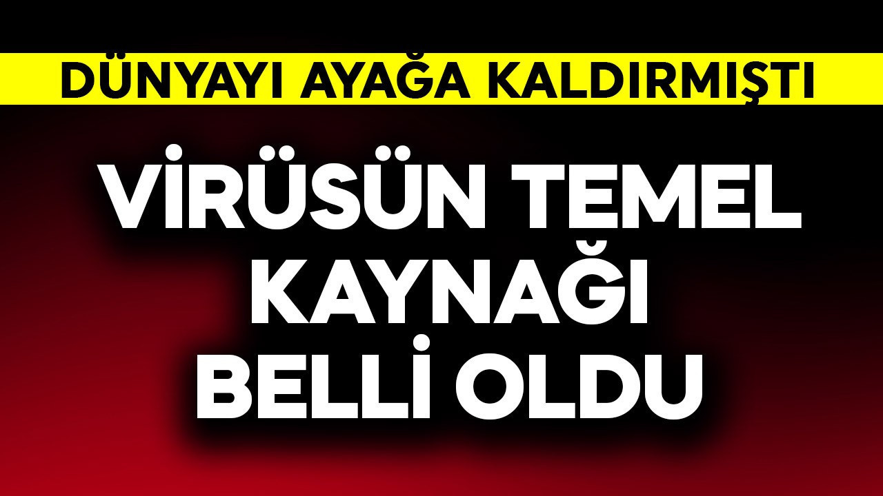 Dünyayı ayağa kaldıran yeni virüsün temel kaynağı belli oldu