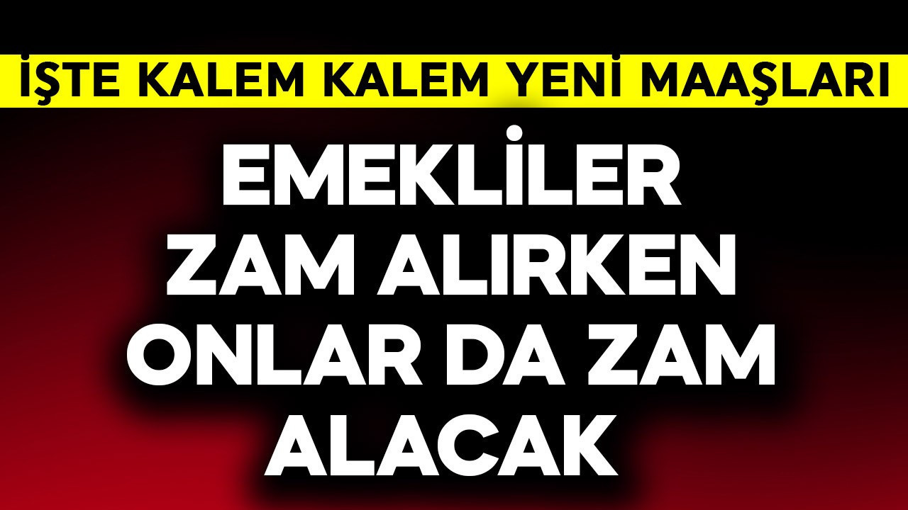 Emekliler zam alırken onlar da zam alacak! İşte yeni maaşları