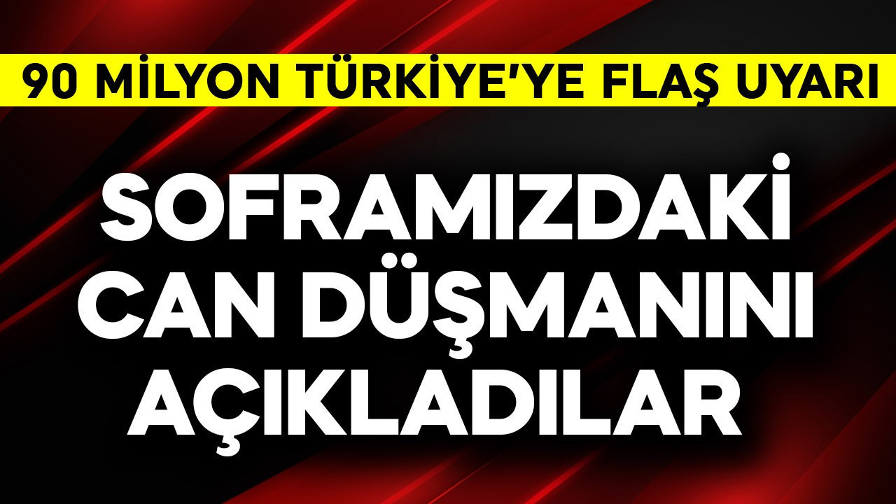 Uzmanlardan 90 milyon Türkiye'ye hayati uyarı! Soframızdaki can düşmanı
