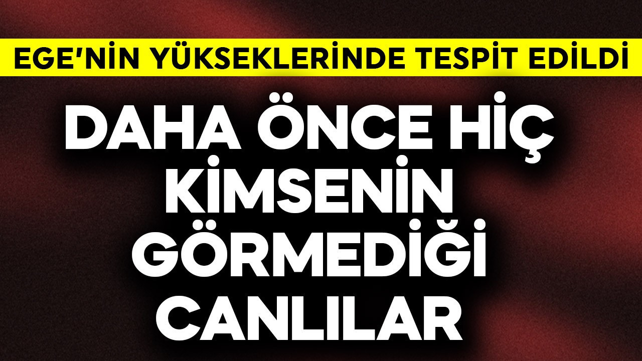 Ege'nin yükseklerinde tespit edildi! Tam 8 tane! Daha önce görülmemiş canlılar