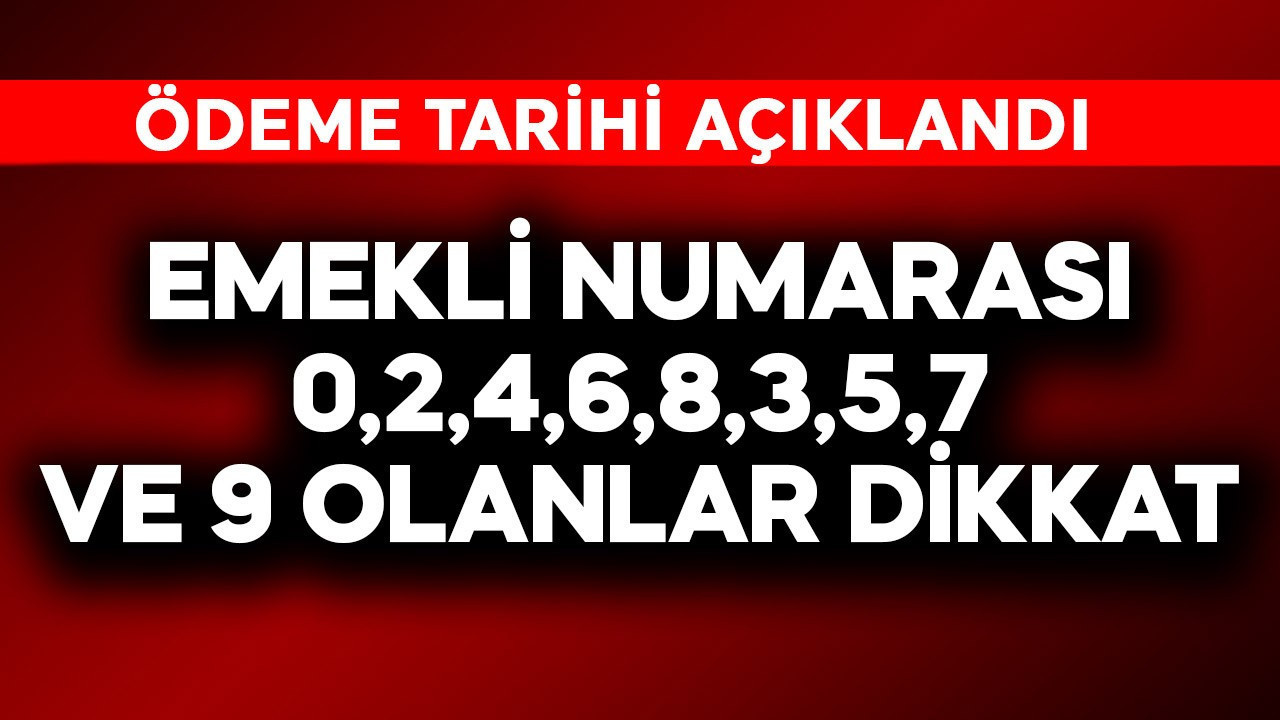 Emekli numarası 0, 2, 4, 6, 8, 1, 3, 5, 7 ve 9 olanlar dikkat! Ödeme tarihi açıklandı
