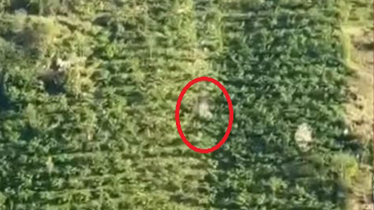 Saniye saniye dehşet! Kamyonet dik yamaçtan taklalar atarak uçtu