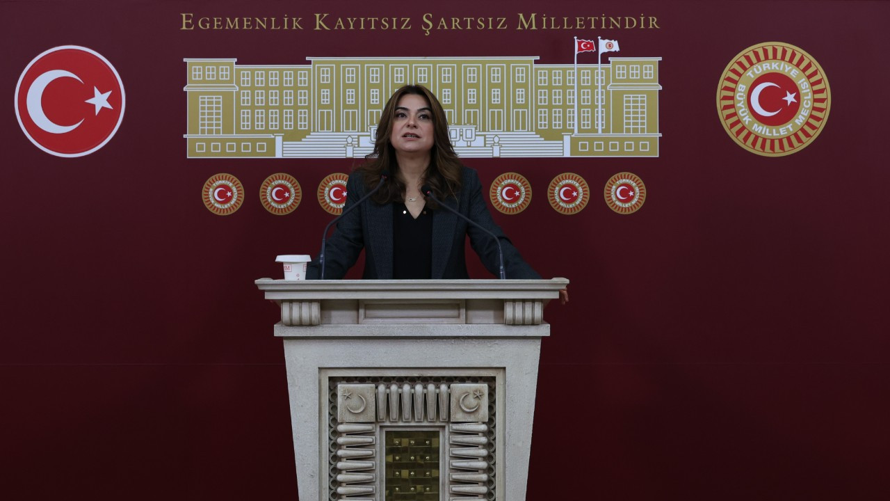 DEM Partili Koçyiğit'ten “Terörsüz Türkiye” süreci için Meclis vurgusu: Barışın hukuka ihtiyacı var