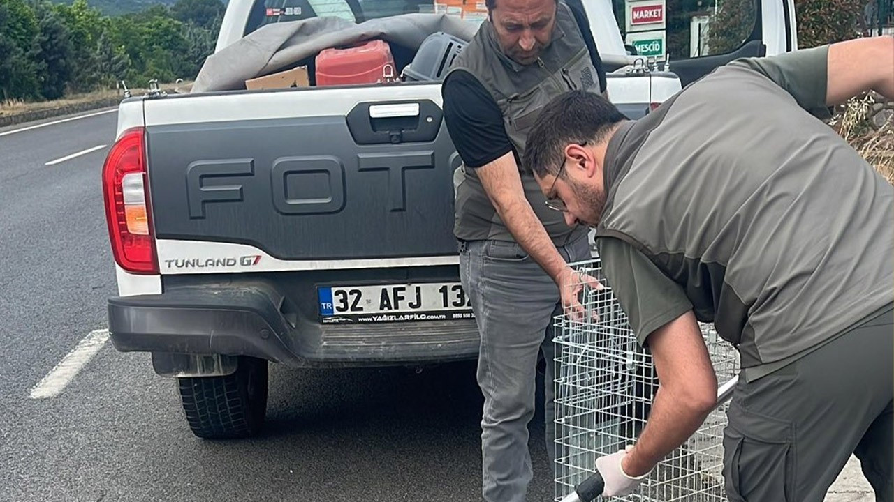 Manisa'da yerde hareketsiz yatıyordu! 1 adım bile atmamasına rağmen kimse dokunmadı