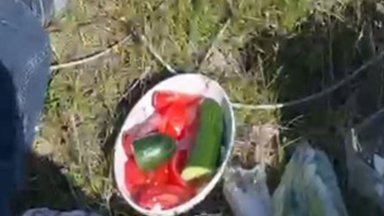 Bitlis’te kırsalda bir anda piknik sofrasının yanında belirdi! 1 tane vardı ama vatandaşın ödü patladı