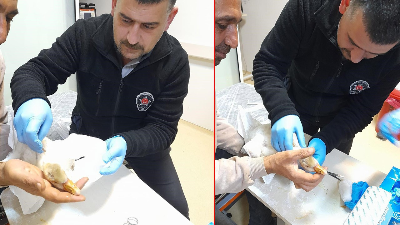 Elazığ’da 50 kilometre hızla ok gibi fırlayıp radarına aldığı hayvanı yaraladı! Acilen devreye girildi