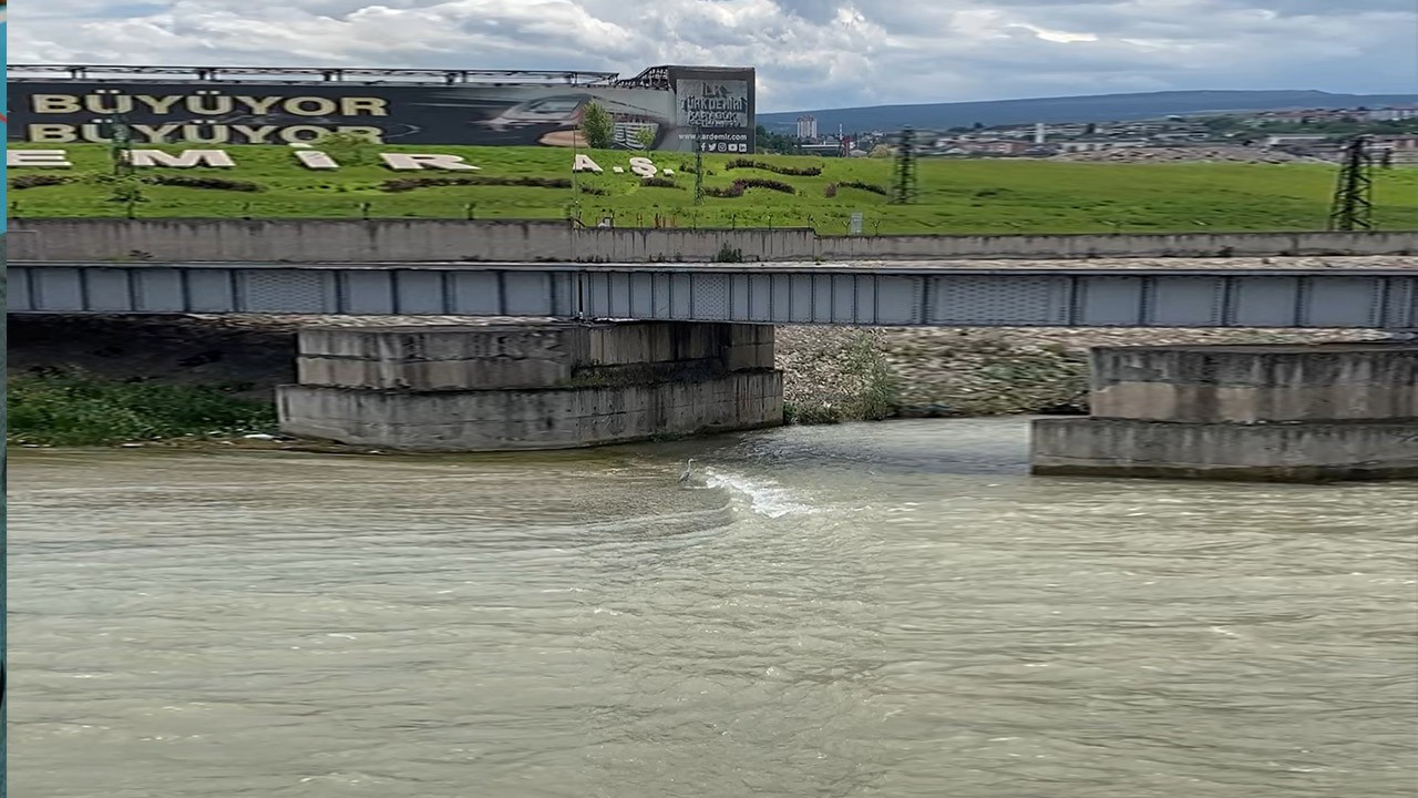 Karabük'te doğal ortamından çıkıp geldi! 10 dakika boyunca hareketsiz bekledi