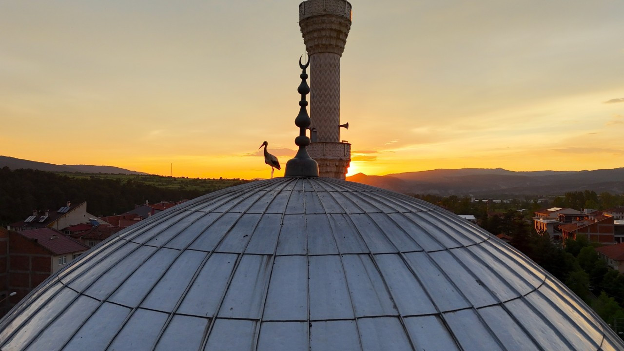 Leylekler gün batımını cami kubbesinde karşıladı: Mest eden 