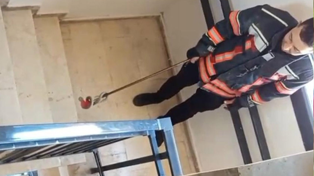 Malatya'da apartmandan çıkarıldı! Tam 1 metre uzunluğundaydı