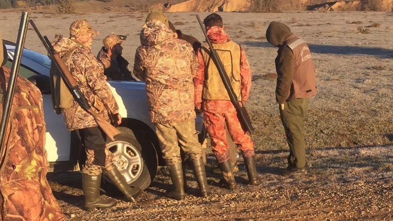 Bu hayvanlara dokunmak yasak! Teker teker açıklandı