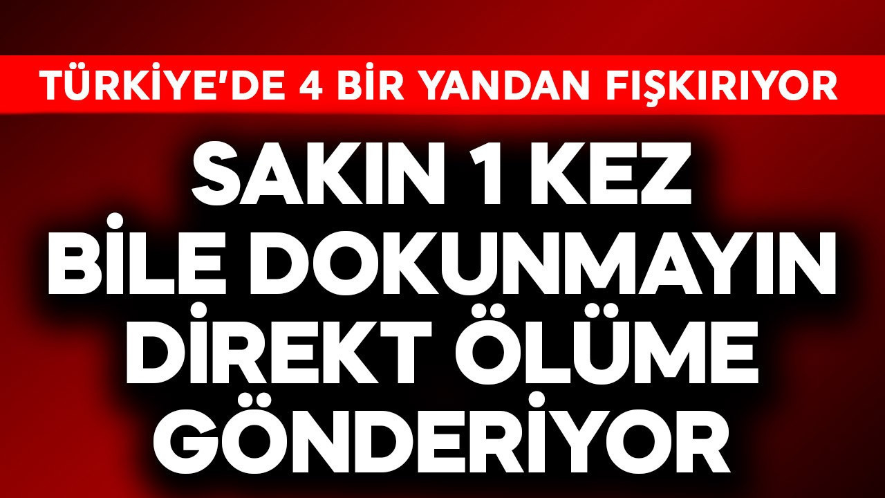 Türkiye'de 4 bir yandan fışkırıyor! Sakın 1 kez bile dokunma