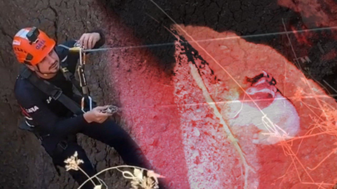 Siirt'te 30 metrelik mağara obruğunun içinden çıkarıldı! Hayvanın yüzü herkesi korkuttu