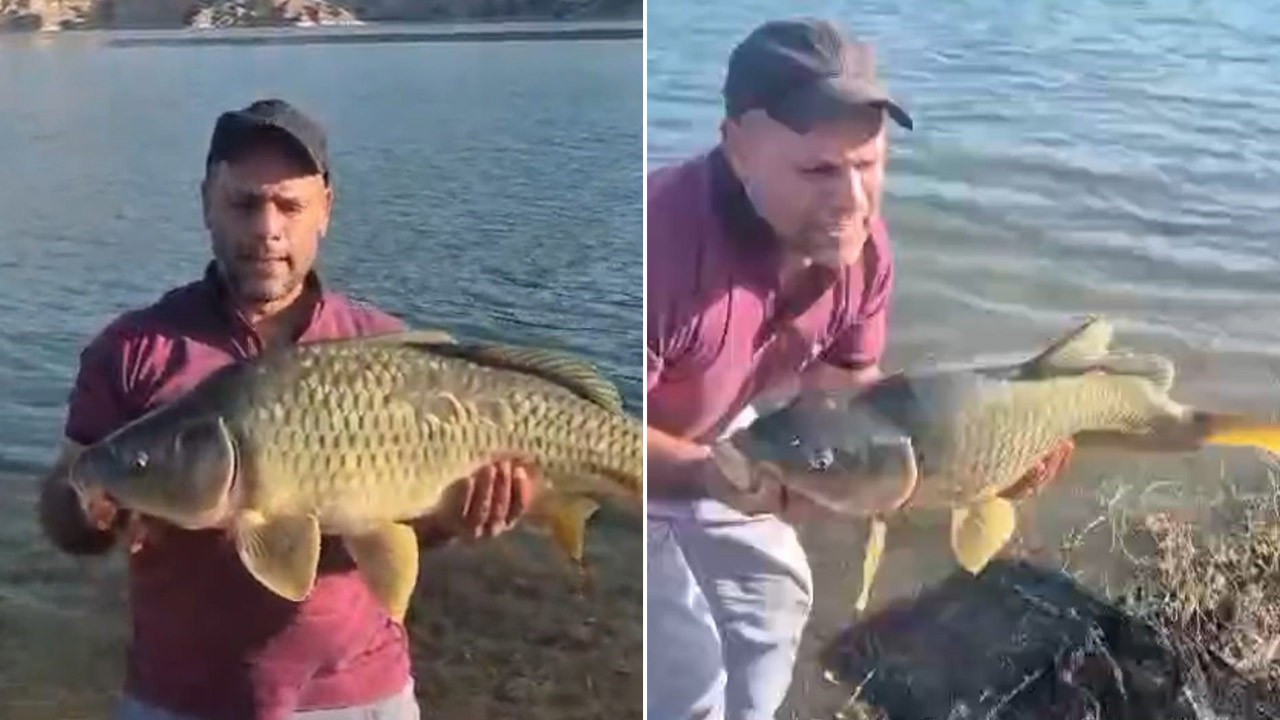 Keban Baraj Gölü’nden çıktı! Tam 10 kilo ağırlığında