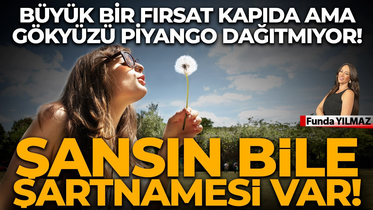 Şans Kapıyı Çalıyor Ama Elinde Bir Dosya Var