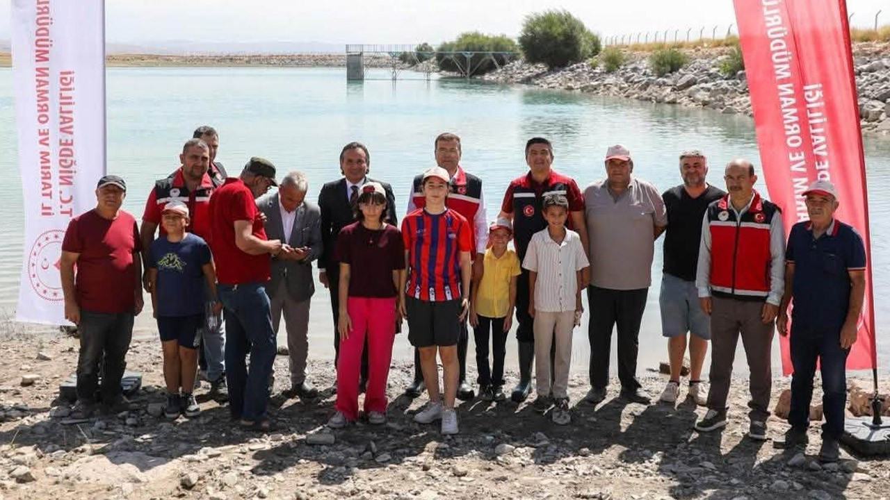 Niğde’de 1000'lercesi aynı yerden doğaya bırakıldı! Hepsi doğaya karıştı