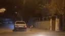 Otomobile bağladığı köpeği metrelerce sürükledi