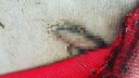 Mobilyaların içinden çıkan şeyler hayrete düşürdü