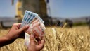 Tarımsal destek ödemeleri bugün hesaplarda!