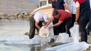1 milyon 842 tanesi aynı anda bırakıldı