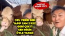 İnekten büyük ders