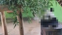 Onları görmek için bugün son gün