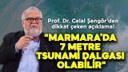 Prof. Dr. Celal Şengör'den dikkat çeken açıklama!