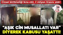 “Aşık cin musallatı var” dedi: Kâbusu yaşattı!